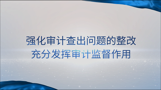 [專家談審計(jì)法]賈煥銀：強(qiáng)化審計(jì)查出問(wèn)題的整改 充分發(fā)揮審計(jì)監(jiān)督作用